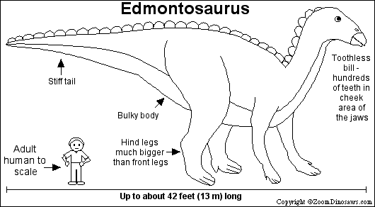 Edmontosaurus Enchanted Learning Software