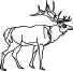 elk