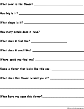 Search result: 'Describe It! Worksheet - Flower'