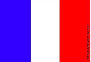 France's Flag