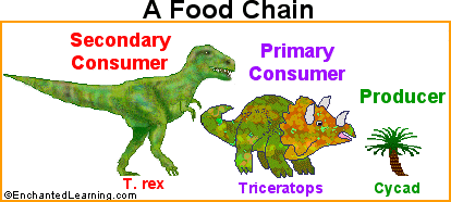 do triceratops eat meat