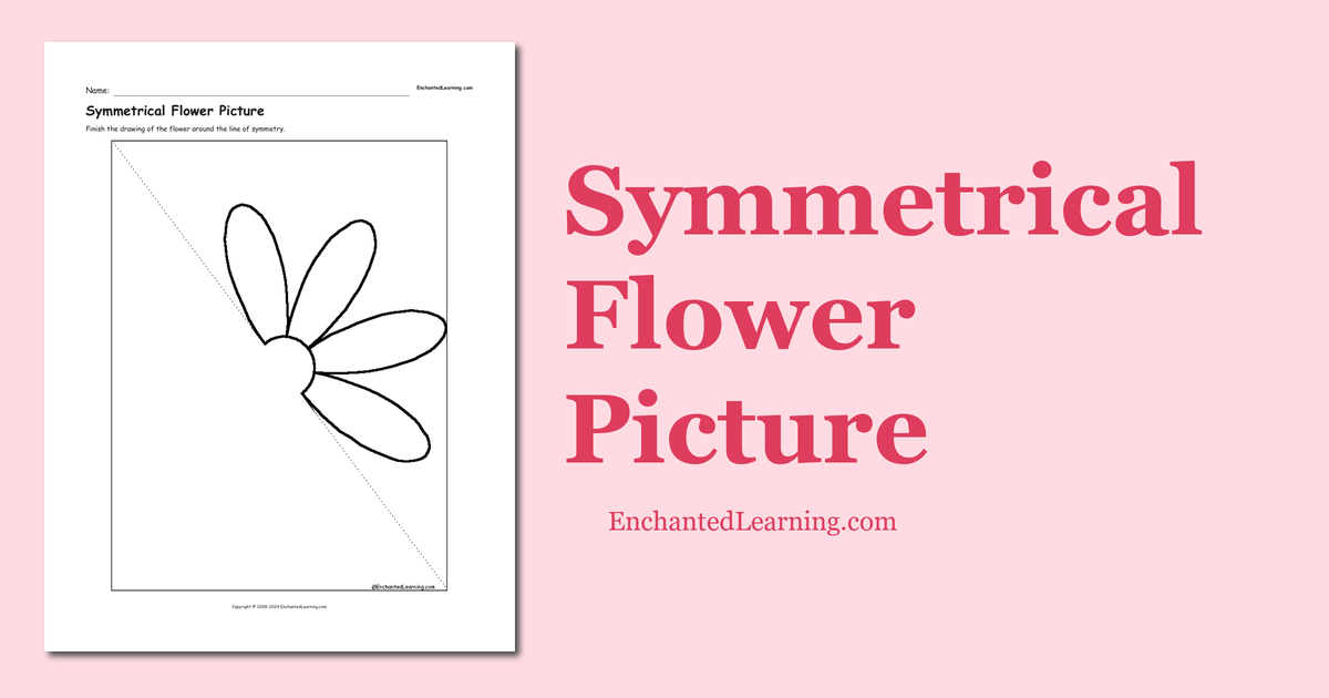 symmetrical-flower-picture-worksheet-enchanted-learning