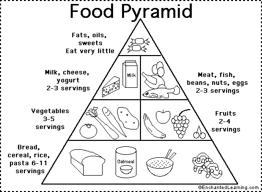 Old Food Pyramid Quiz Printout Enchantedlearning Com