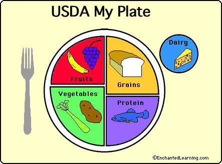 USDA Food Plate