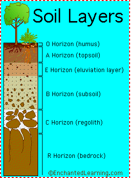 soil profile diagrams labelling