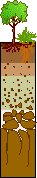 Soil Layers diagram to label