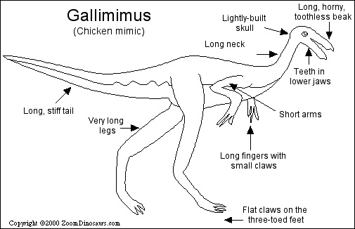 Search result: 'Gallimimus Printout'