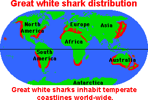 shark range