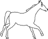 horse