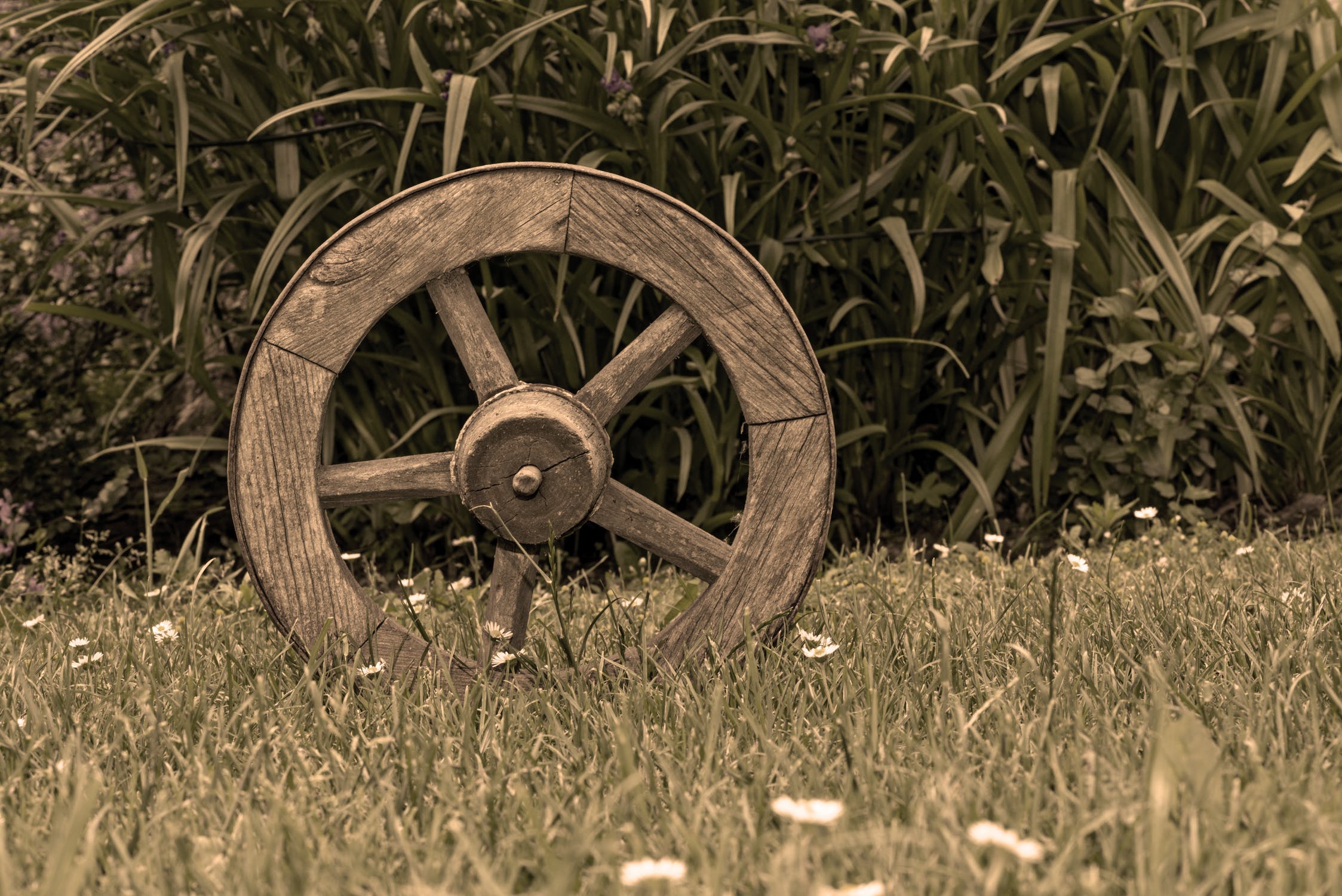 mesopotamia farming technology