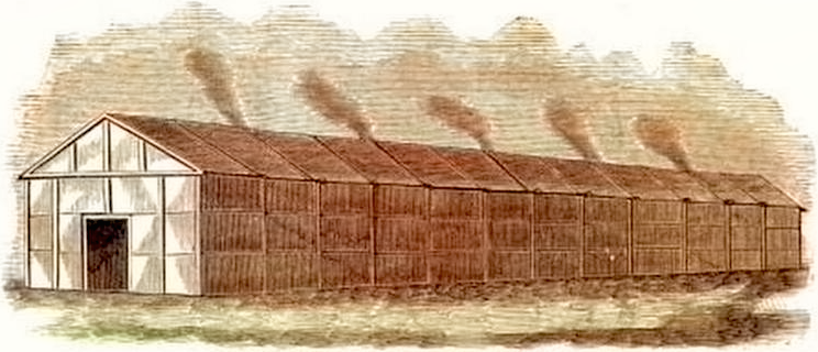 iroquois tribe houses