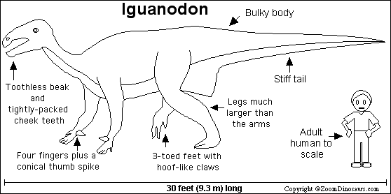 iguanodon footprint