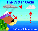 The Water Cycle