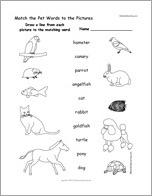 Match the Pet Words to the Pictures