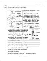 Corn Read and Answer Worksheet