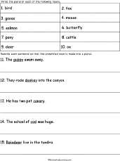 Plural Animal Nouns #2