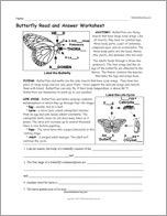 Butterfly Read and Answer Worksheet