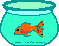 Fish Bowl