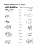 Match the Animal Words to the Pictures