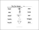 Match the Senses Words to the Pictures