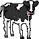 cow