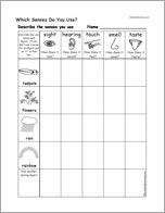 Which Senses Do You Use? Spring Worksheet