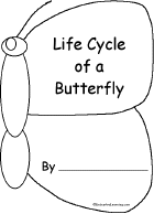 Butterfly Life Cycle