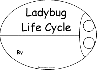 Ladybug Life Cycle