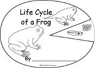 Frog Life Cycle