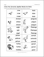 Circle the Correctly-Spelled Words for Birds