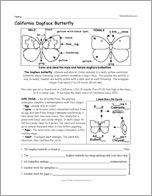 California Dogface Butterfly Worksheet