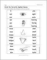 Circle the Correctly-Spelled Senses