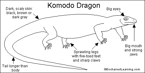 Search result: 'Komodo Dragon Read-and-Answer Quiz Answers'