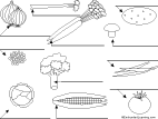 Search result: 'Label the Vegetables (KhoDarawaat) in Arabic Printout'