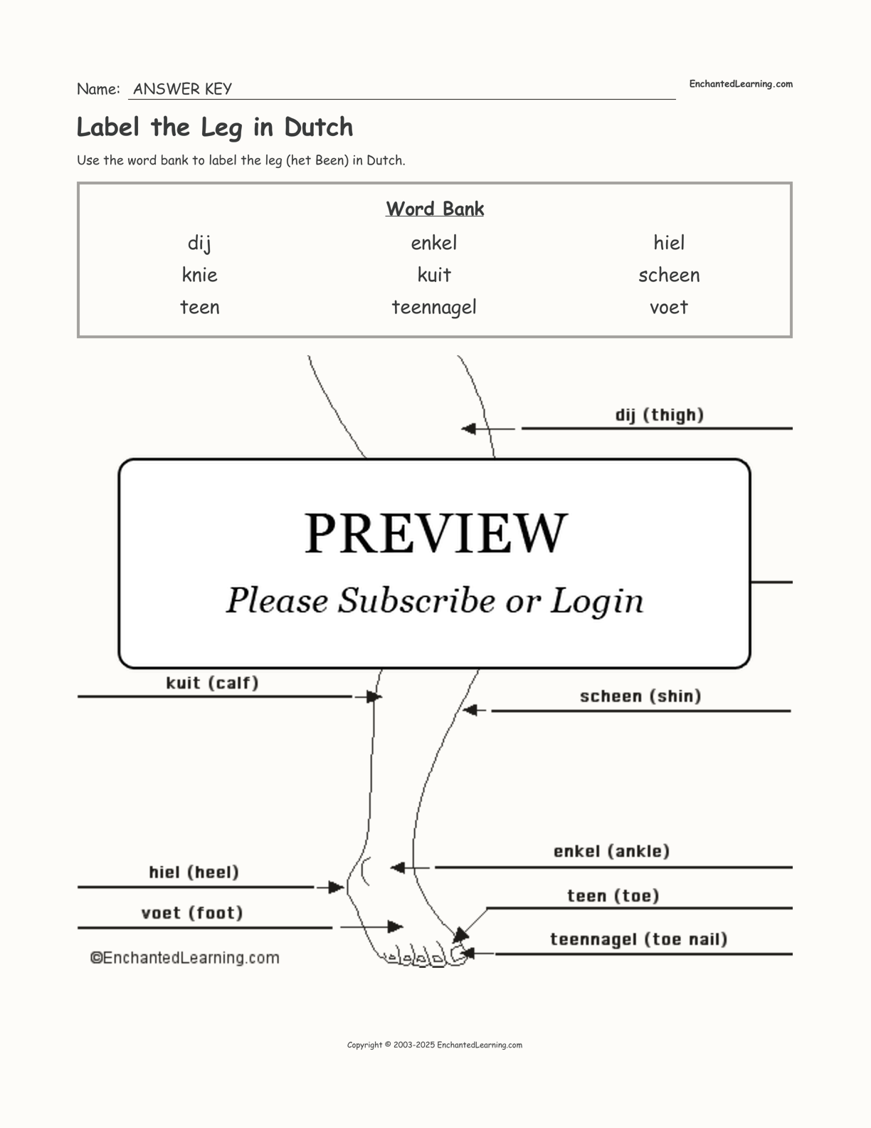 Label the Leg in Dutch interactive worksheet page 2