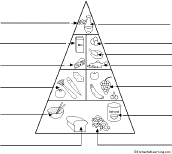 simple food pyramid label