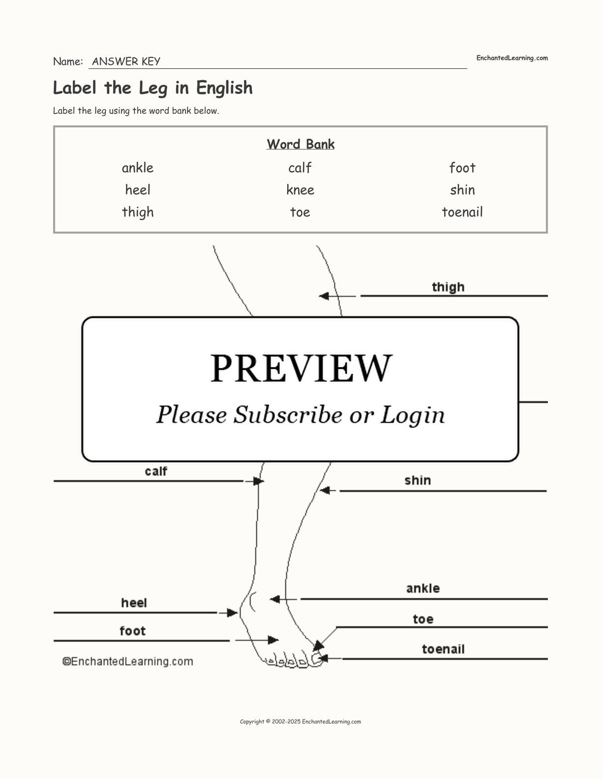 Label the Leg in English interactive worksheet page 2