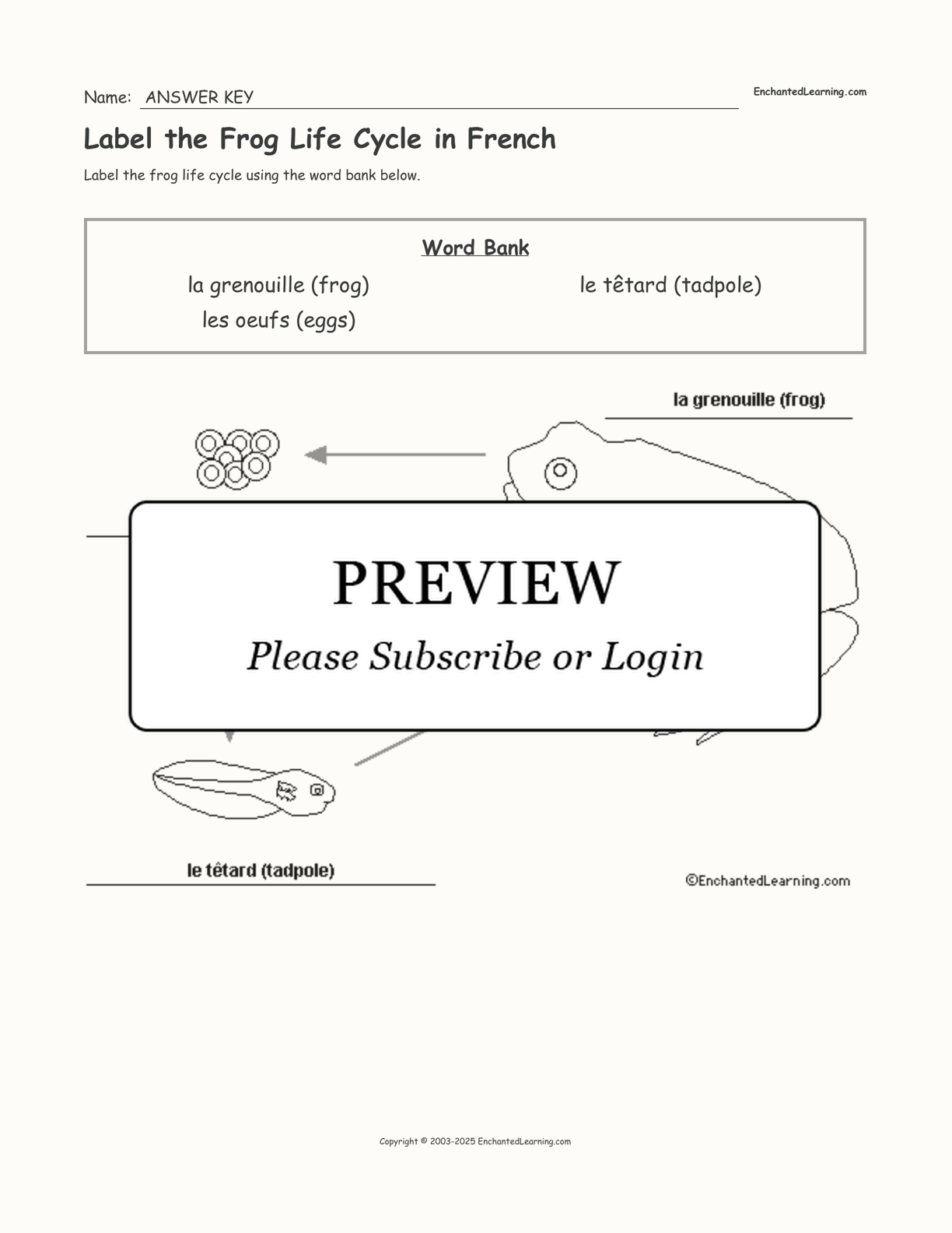 Label the Frog Life Cycle in French interactive worksheet page 2