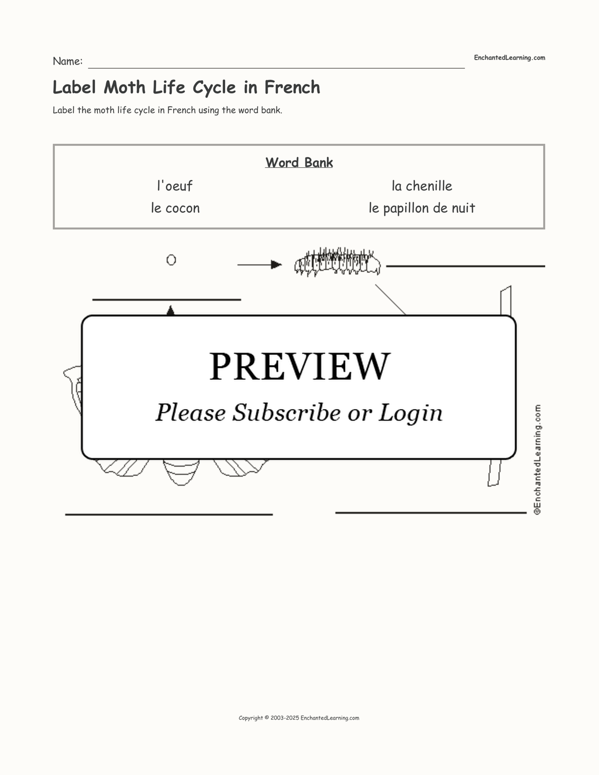 Label Moth Life Cycle in French interactive worksheet page 1