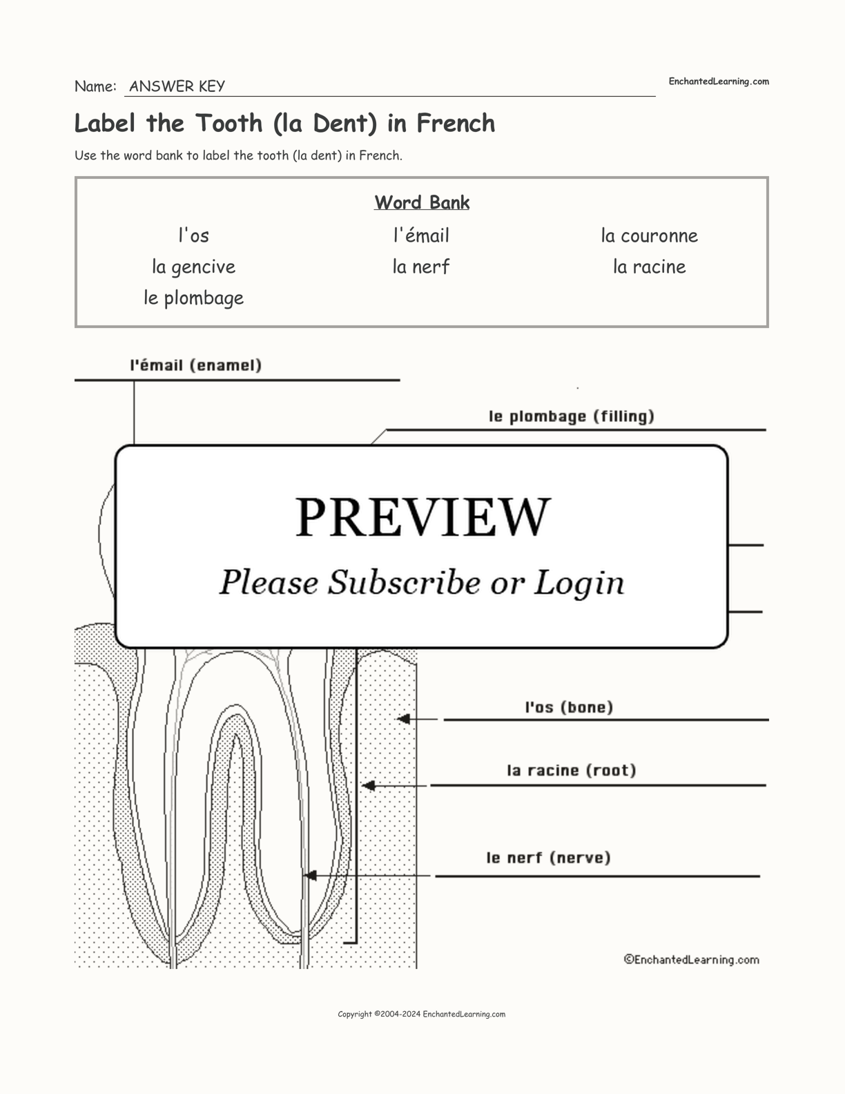 Label the Tooth (la Dent) in French interactive worksheet page 2
