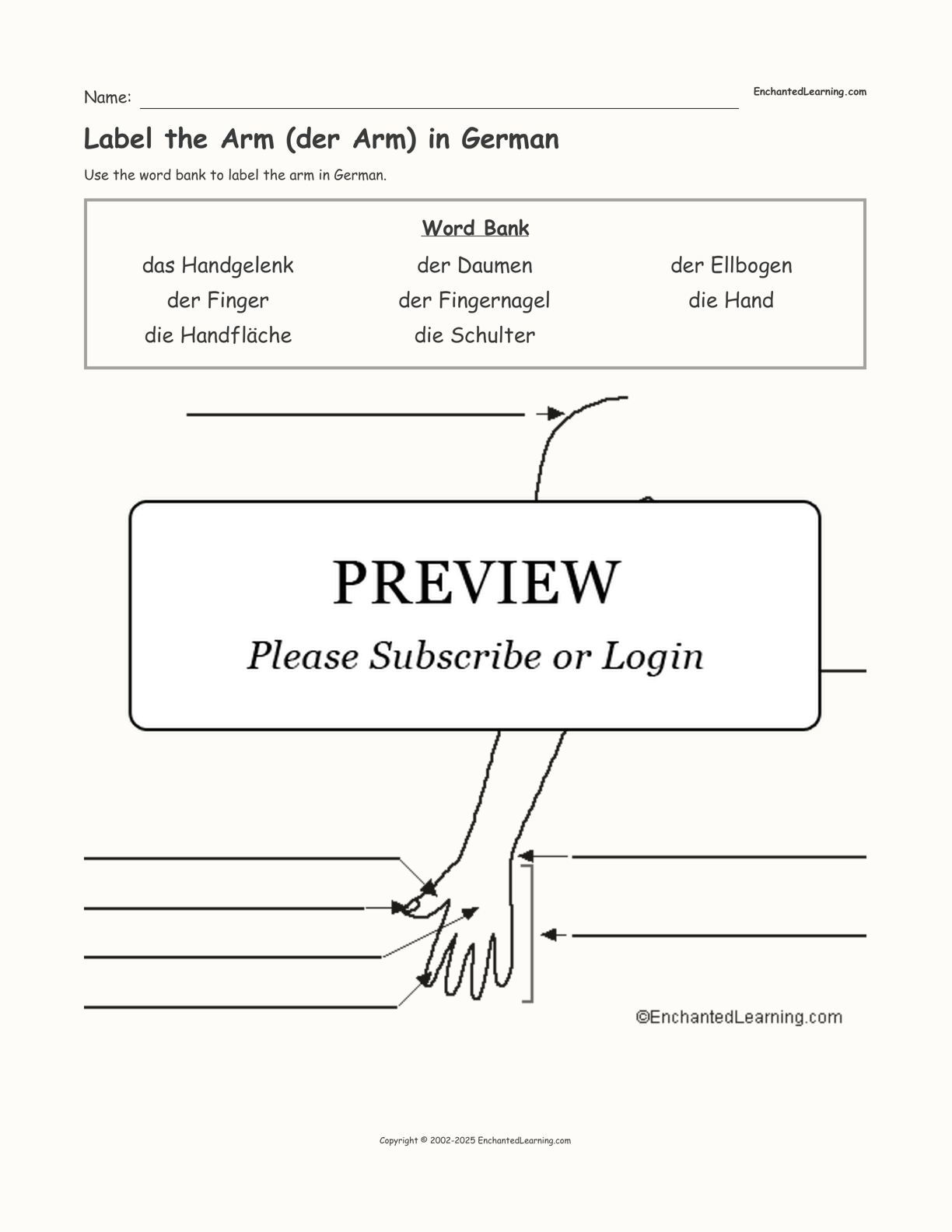 Label the Arm (der Arm) in German interactive worksheet page 1