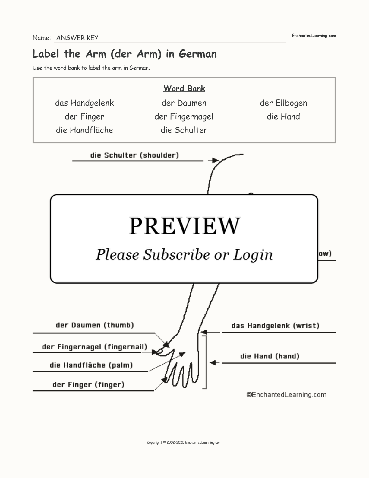 Label the Arm (der Arm) in German interactive worksheet page 2