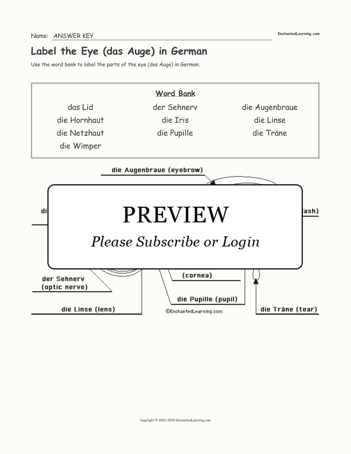 Label the Eye (das Auge) in German interactive worksheet page 2