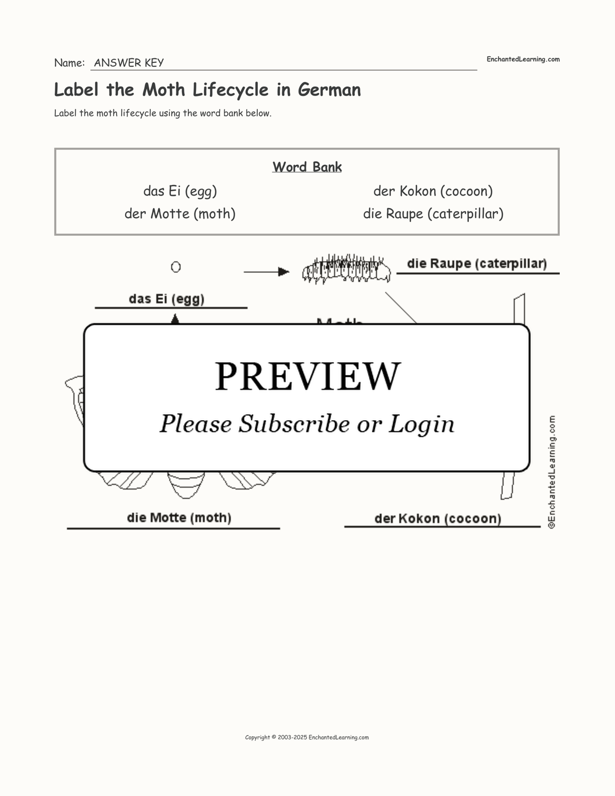 Label the Moth Lifecycle in German interactive worksheet page 2