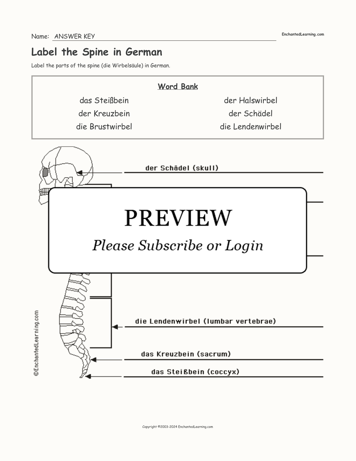 Label the Spine in German interactive worksheet page 2