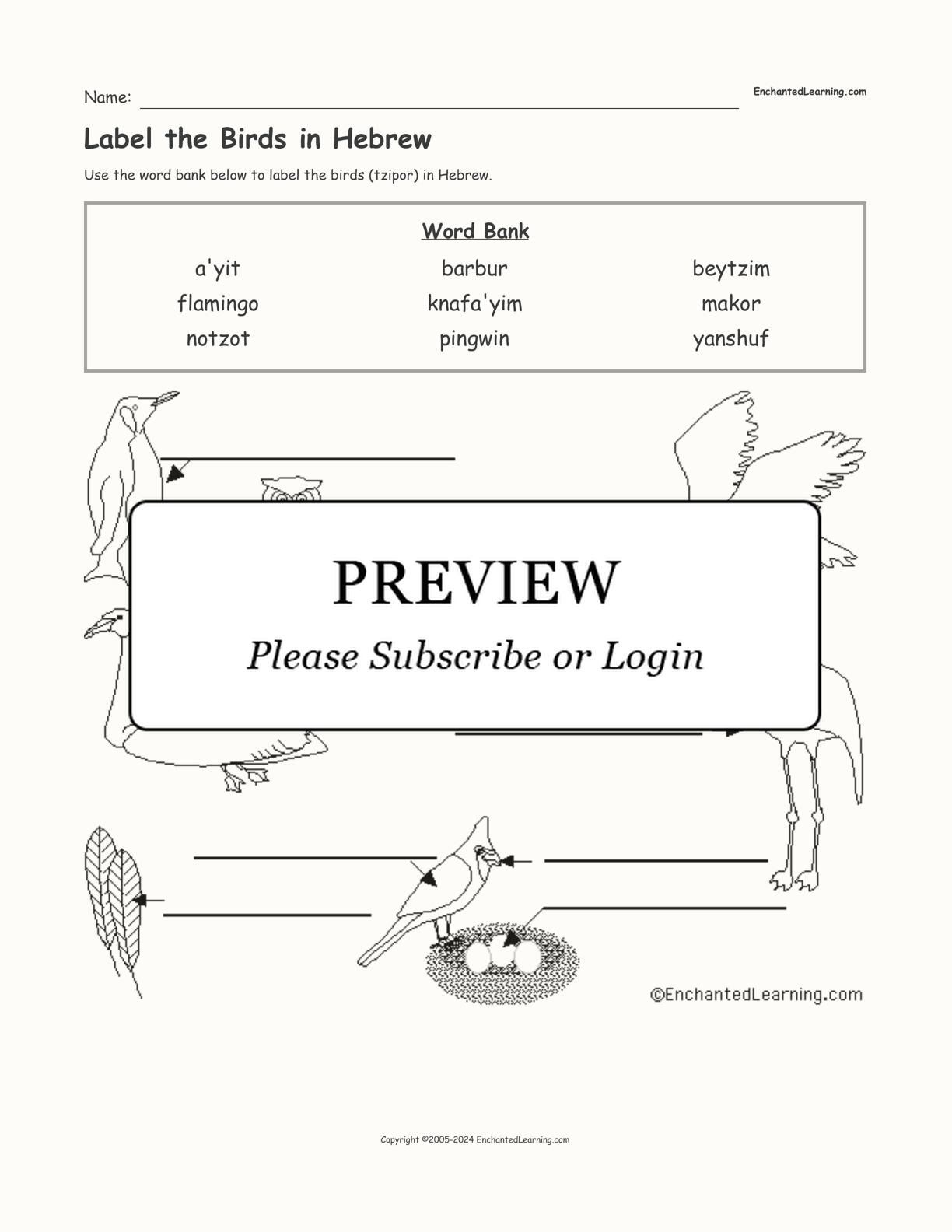 Label the Birds in Hebrew interactive worksheet page 1