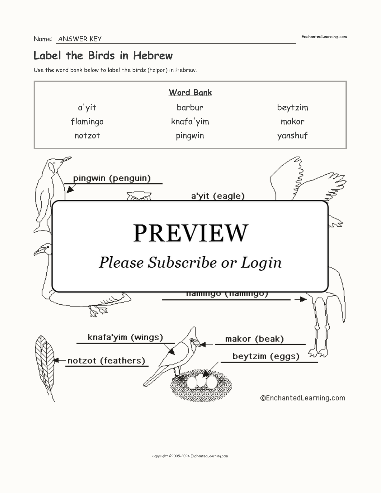 Label the Birds in Hebrew interactive worksheet page 2