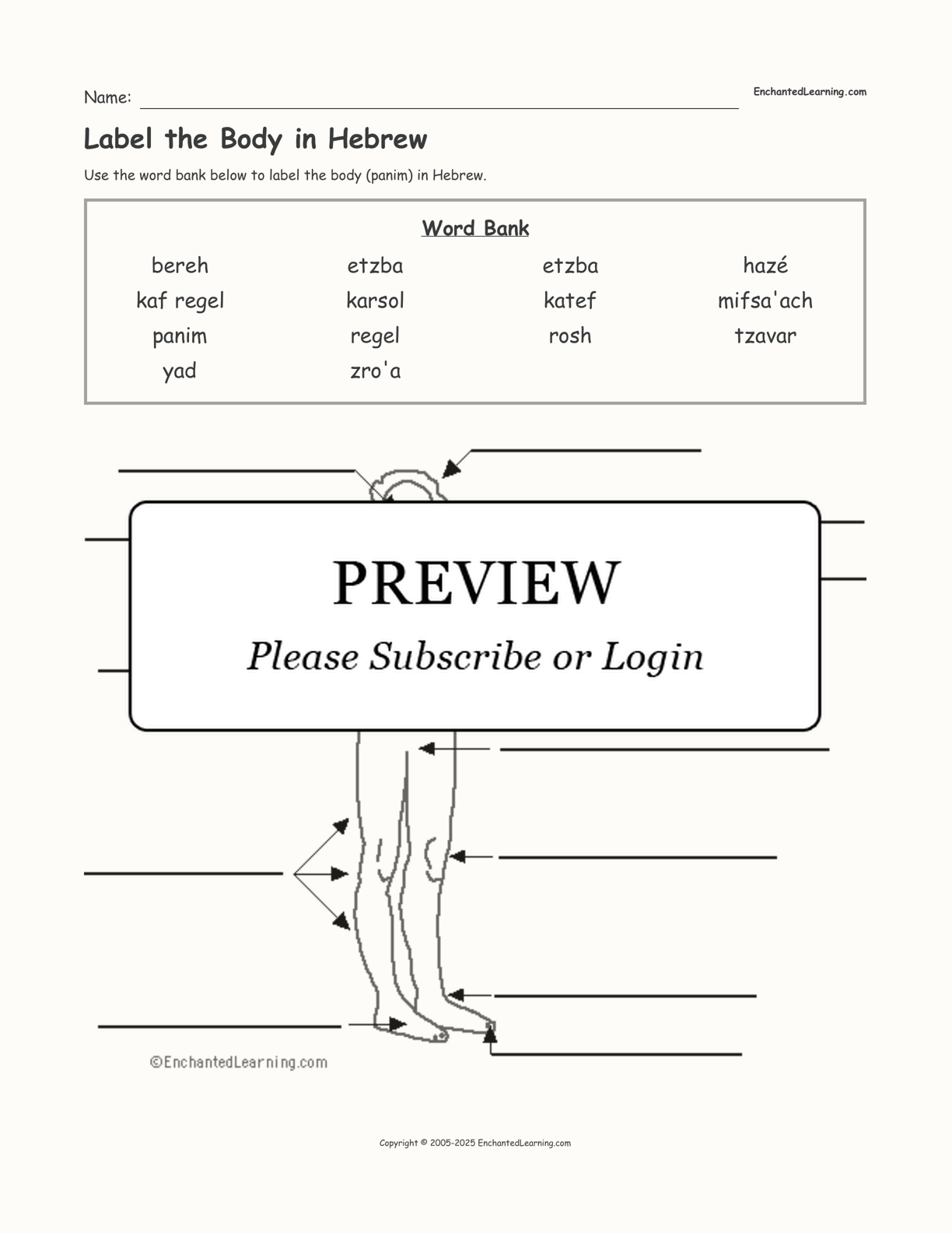 Label the Body in Hebrew interactive worksheet page 1