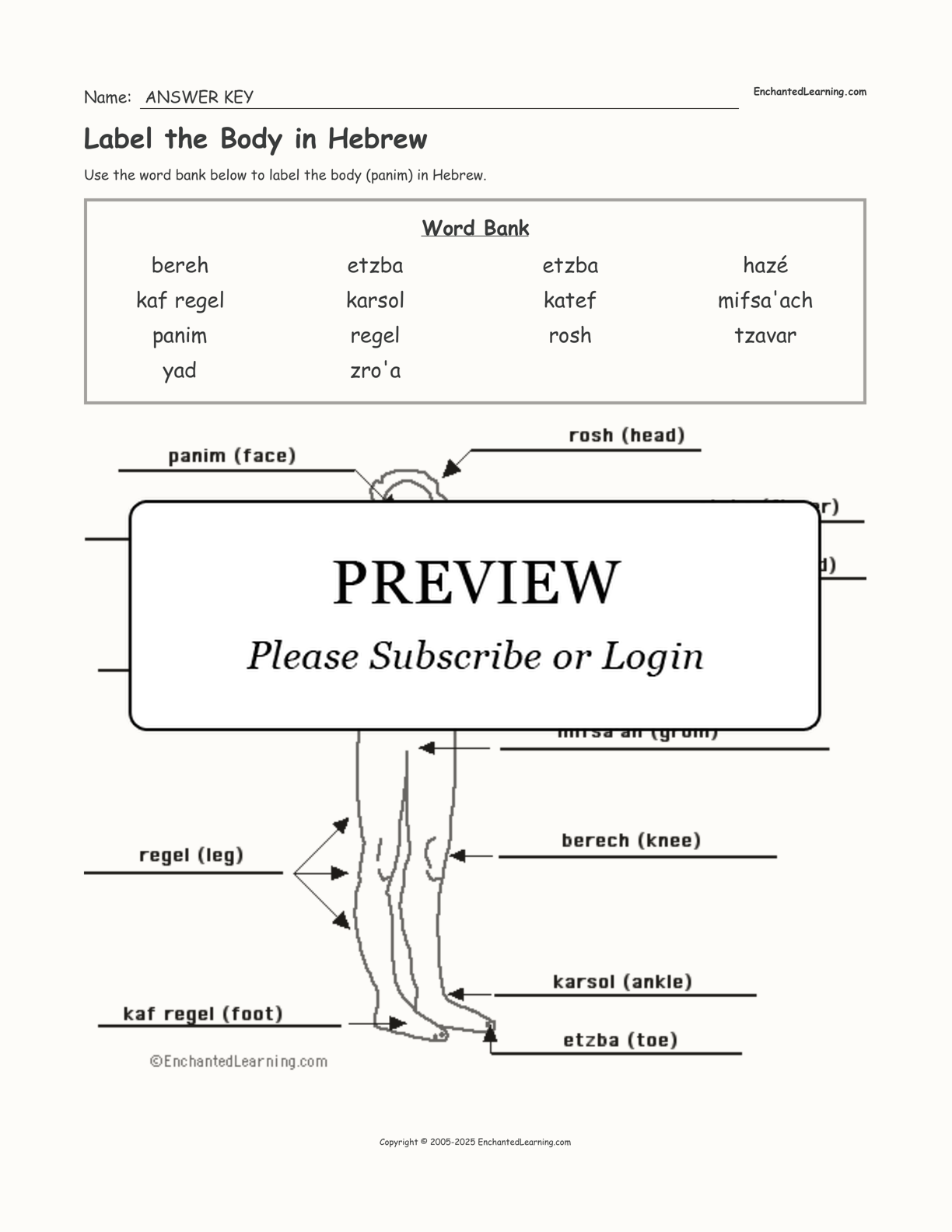 Label the Body in Hebrew interactive worksheet page 2