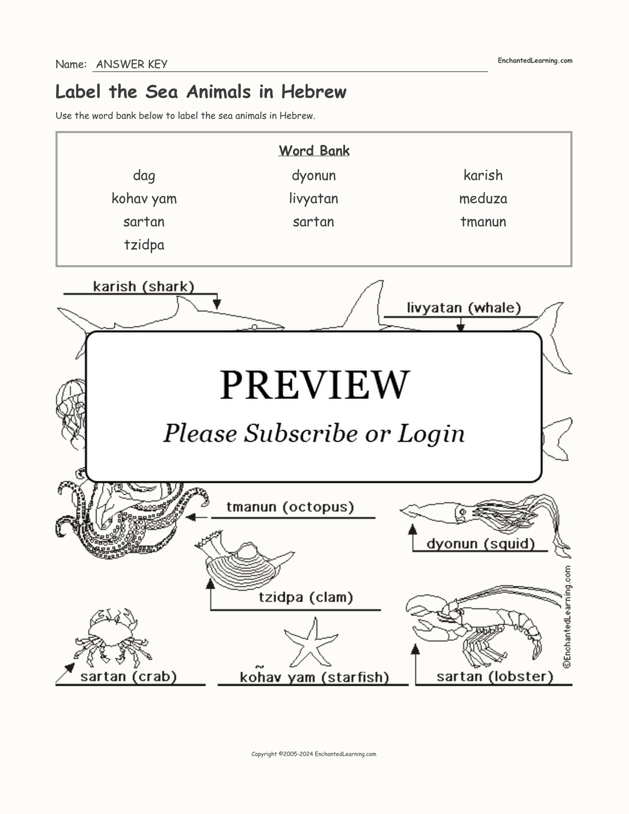 Label the Sea Animals in Hebrew interactive worksheet page 2